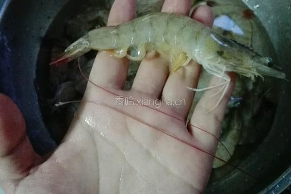 白勺明虾的做法图解2