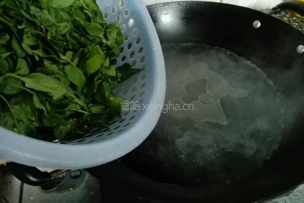 瘦肉枸杞叶汤的做法图解5