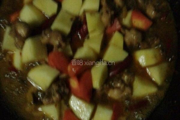 土豆烧鸡的做法图解5