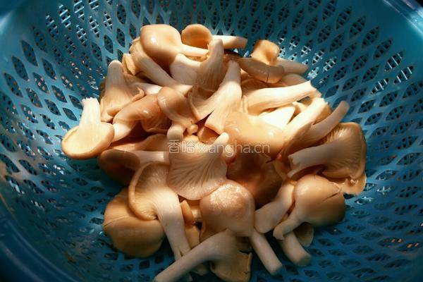 凉拌绣珍菇的做法图解1