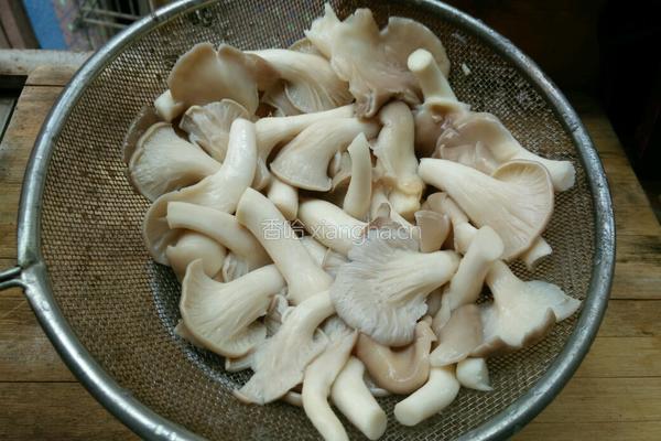 凉拌绣珍菇的做法图解3