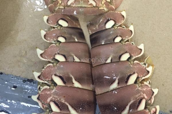 刺生澳洲龙虾的做法图解6