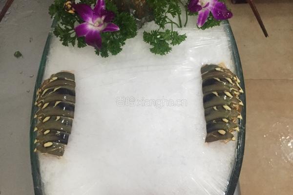 刺生澳洲龙虾的做法图解9