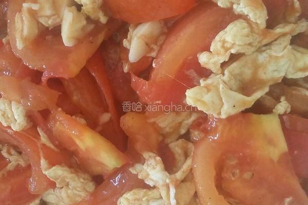 西红柿炒蛋的做法图解7