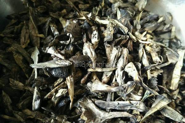 爆炒干巴菌的做法图解1