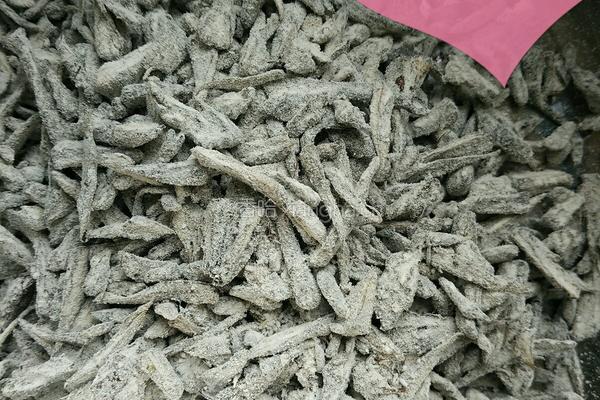 爆炒干巴菌的做法图解2