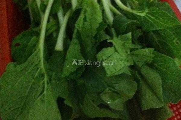 虾米炒青菜的做法图解1