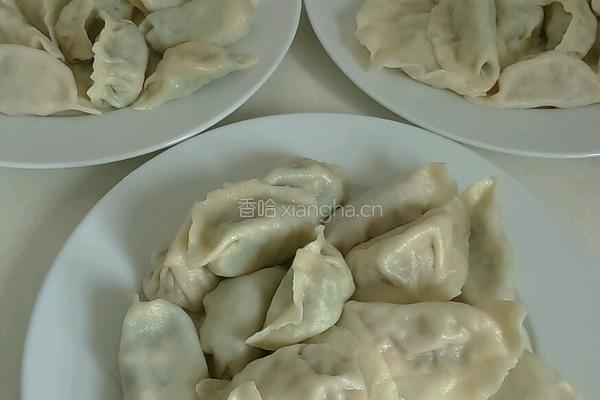 韭菜鸡蛋饺子的做法图解8