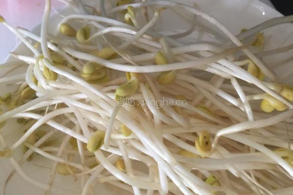 香菇瘦肉芽菜粥的做法图解2