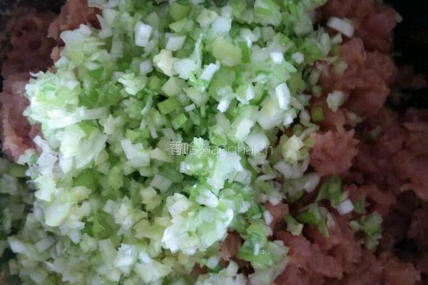 黄瓜肉饺子的做法图解2