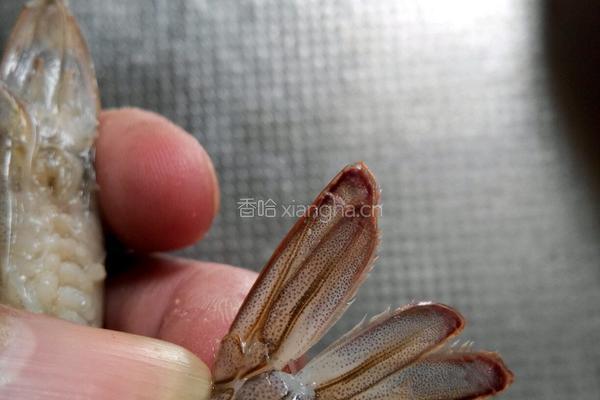 油焖大虾的做法图解2