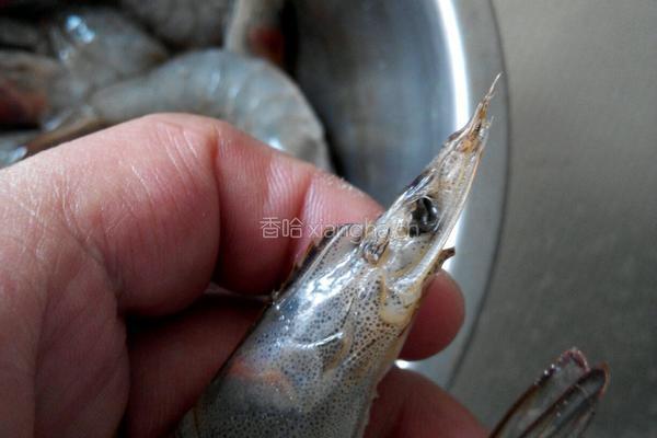 油焖大虾的做法图解1