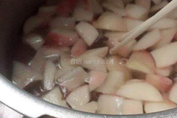 桃子石榴汽水的做法图解4