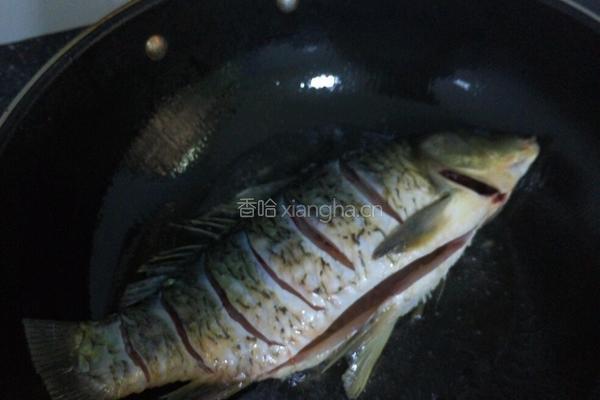萝卜丝鲫鱼的做法图解3
