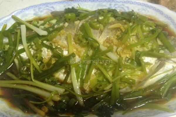 清蒸鳊鱼的做法图解6