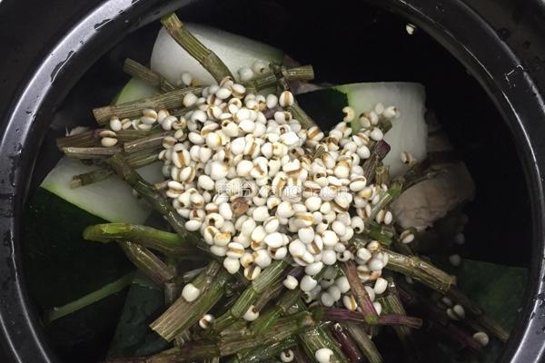 鲜石斛煲冬瓜薏米芡实汤的做法图解5