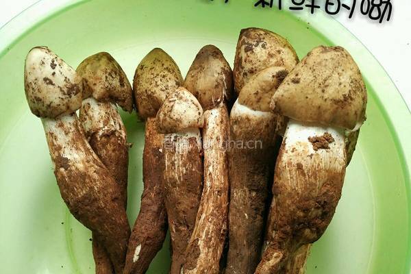 鸡枞辣椒油的做法图解1