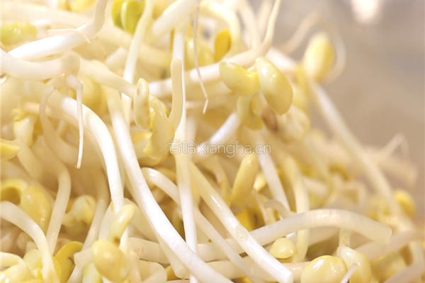 黄豆芽炒粉条的做法图解1
