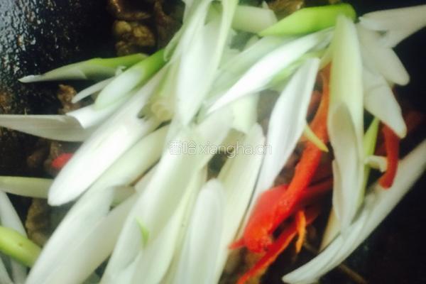 孜然羊肉的做法图解5