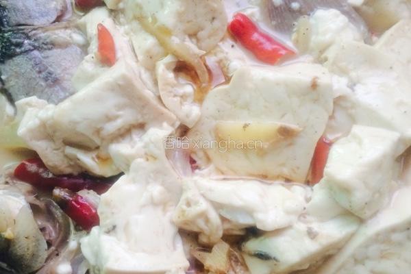 野生鲫鱼煨豆腐的做法图解6