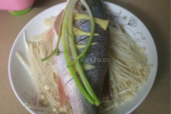 清蒸鲈鱼的做法图解4