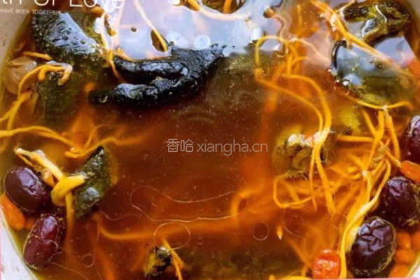 虫草花炖乌鸡的做法图解4