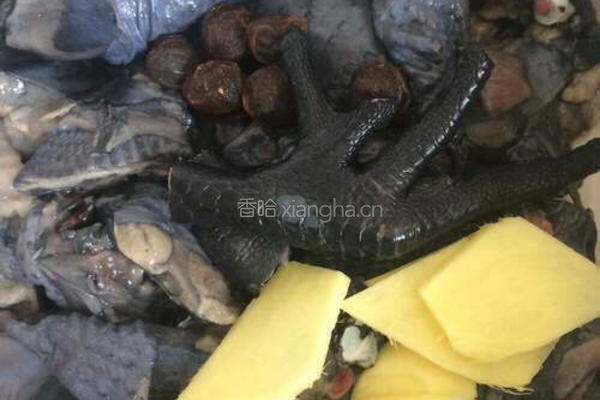 虫草花炖乌鸡的做法图解1