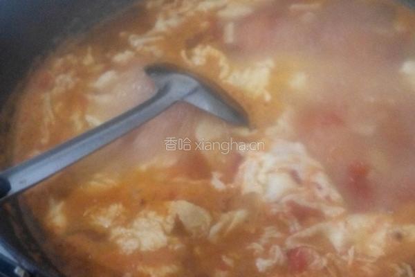 番茄鸡蛋汤的做法图解5