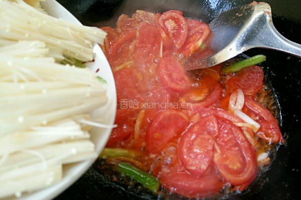 西红柿炒金针菇的做法图解7