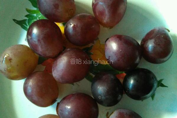  自酿葡萄酒的做法图解2