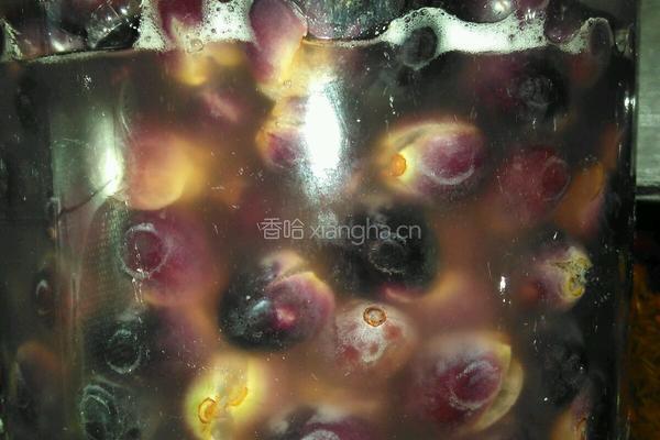  自酿葡萄酒的做法图解4