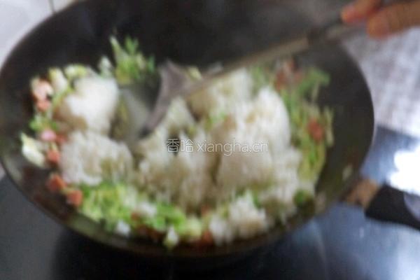 卷心菜鸡蛋炒饭的做法图解6