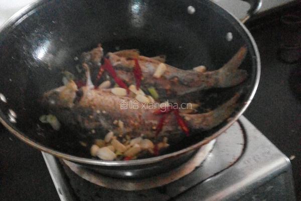 鲤鱼炖豆腐的做法图解4