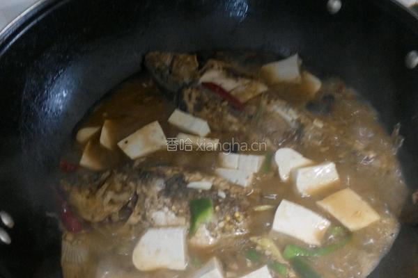 鲤鱼炖豆腐的做法图解10