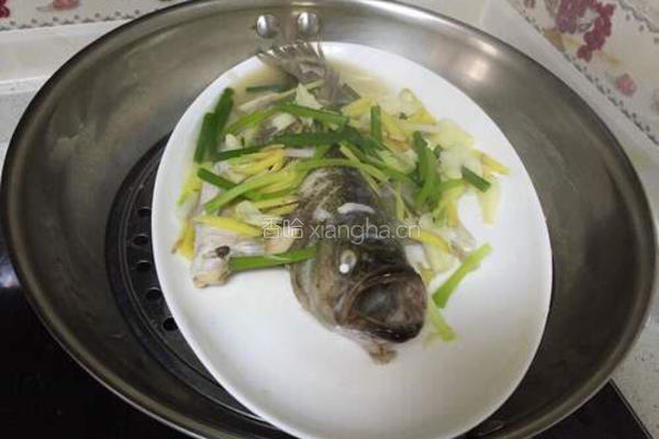 清蒸鳟鱼的做法图解4