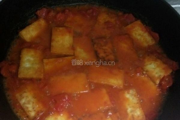 番茄豆腐的做法图解4
