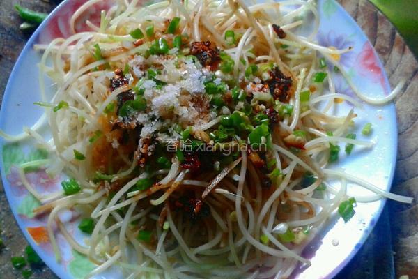 凉拌脆爽黄豆芽