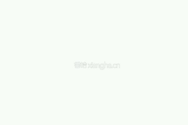 排骨腊肠煲饭的做法图解4
