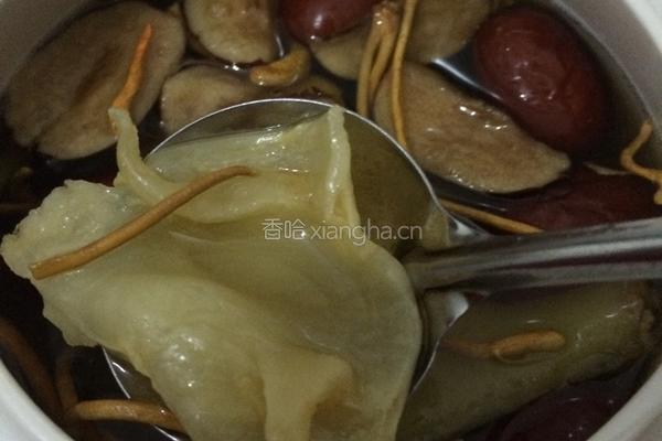 增强免疫力花胶虫草花红枣汤的做法图解6
