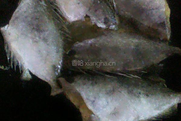 煎鱼的做法图解2