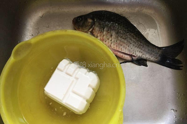 鲫鱼豆腐汤的做法图解1
