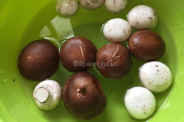 鲫鱼豆腐汤的做法图解5