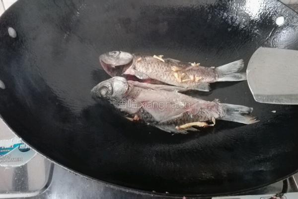 白豆腐鲫鱼汤的做法图解6