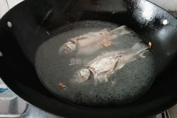 白豆腐鲫鱼汤的做法图解7