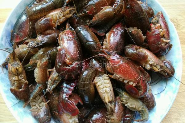 火锅料烧小龙虾的做法图解1