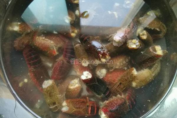 火锅料烧小龙虾的做法图解3