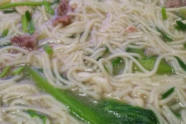牛腩鲜鱿面的做法图解9