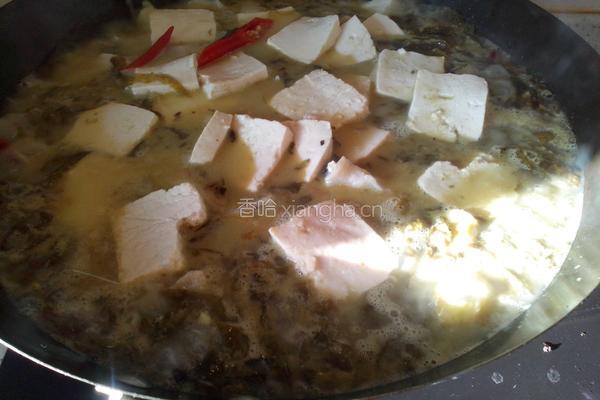 酸菜豆腐鱼的做法图解4