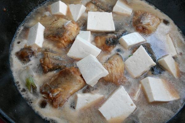 鳕鱼炖豆腐的做法图解4