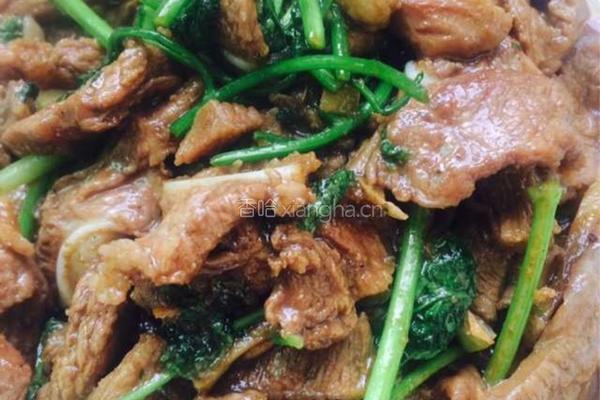 香菜羊肉